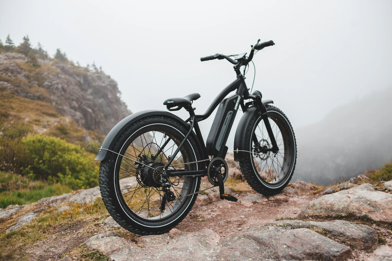 Bonus bici elettriche in arrivo: ecco chi può richiederlo e come ottenere il voucher Immagine selezionata