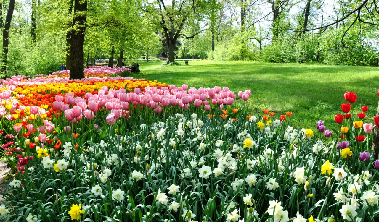 Apre un nuovo parco di 3 ettari alle porte della città un’oasi verde per il relax nella natura Immagine selezionata