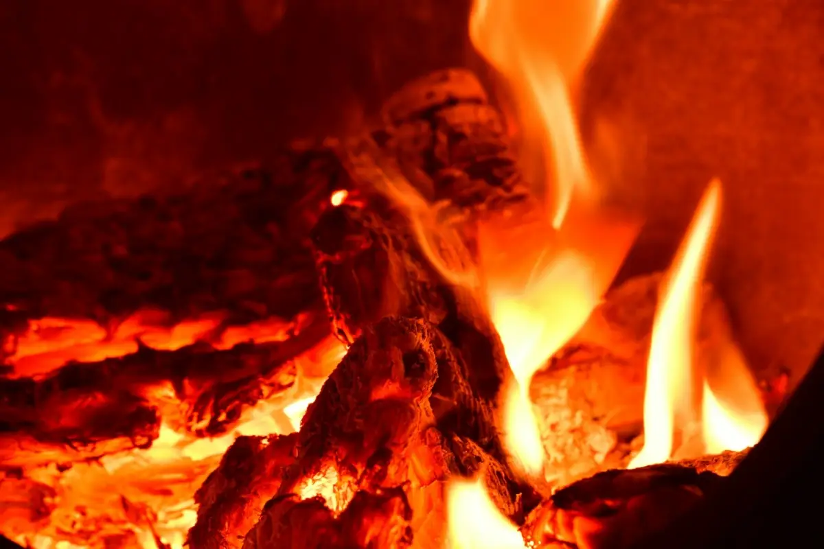 Antico forno salvato dal fallimento: l'incredibile rinascita che ha commosso un intero paese Immagine selezionata