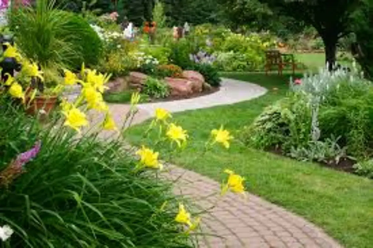 Come rendere il prato più verde: ecco il segreto che pochi giardinieri svelano Immagine selezionata