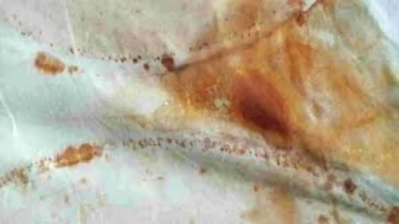 4 metodi infallibili per dire addio alle macchie di candeggina sui vestiti Immagine selezionata
