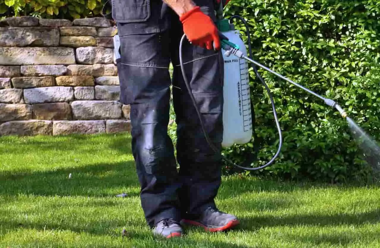 Diserbante naturale fai-da-te: questo il metodo semplice per un giardino impeccabile in pochi minuti Immagine selezionata