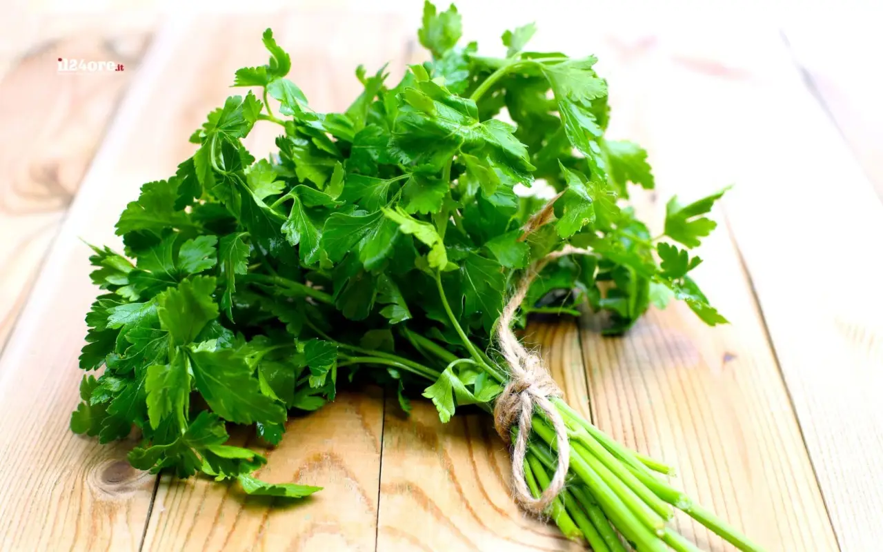 Guida alla coltivazione delle erbe aromatiche in cucina Guida alla coltivazione delle erbe aromatiche in cucina