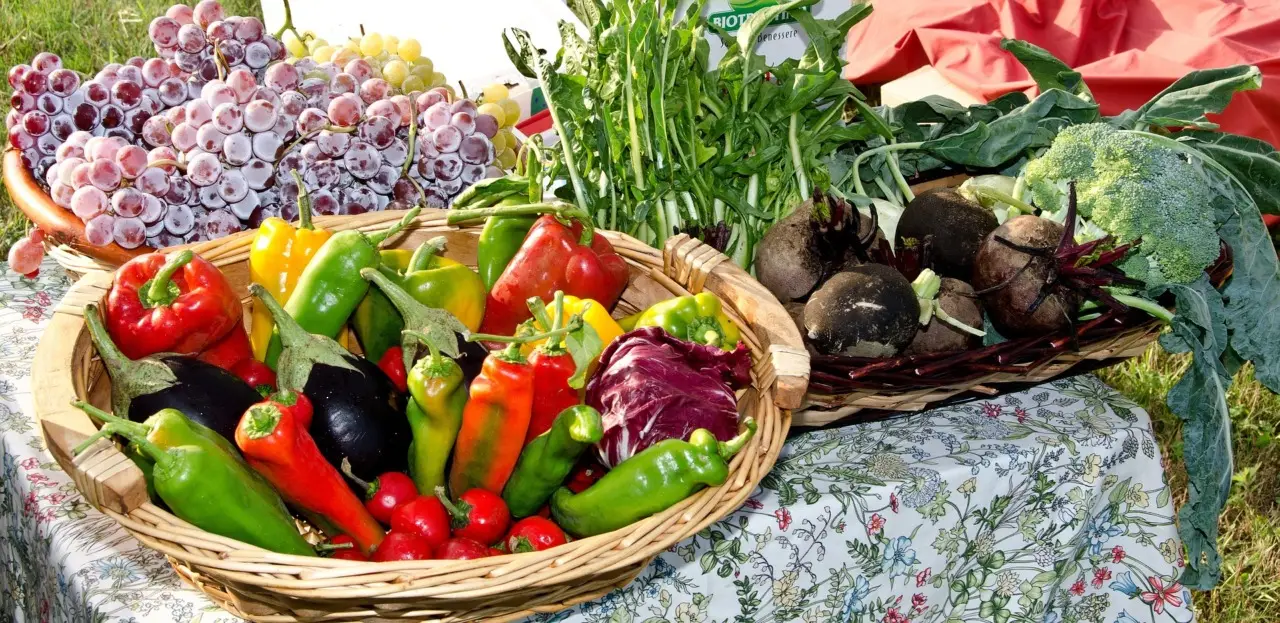 Melanzane a tavola: ecco come consumarle per ridurre il colesterolo Melanzane a tavola: ecco come consumarle per ridurre il colesterolo